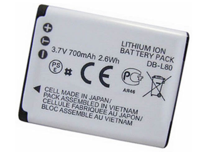 SANYO DB-L80 batterie