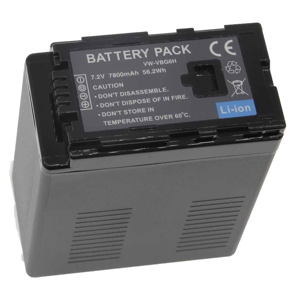 Panasonic HS100 HS200 HS300 HS9 batterie