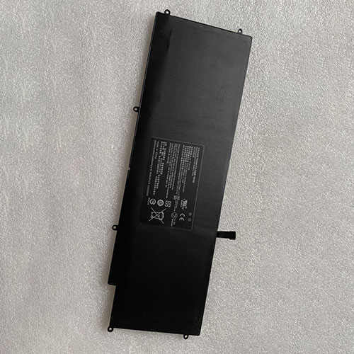 Razer RC30-0196 batterie